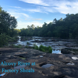 alcovy river at factory shoals