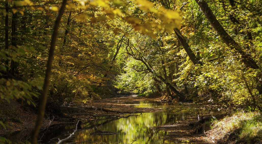 newton county water and sewer ga newton county water and sewer ga